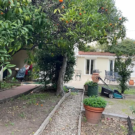 Bed and breakfast Chez Nicole Cannes